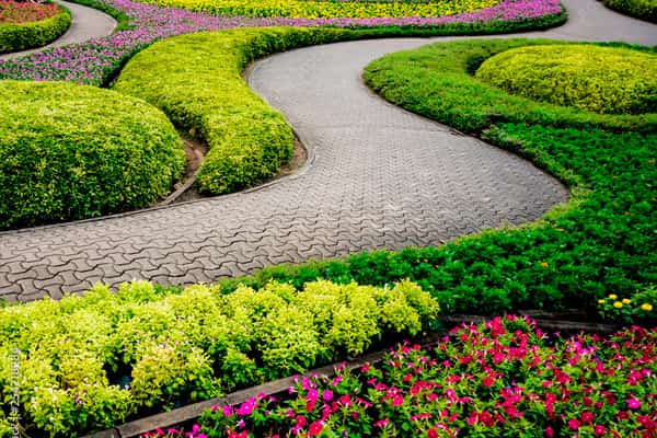 jardim