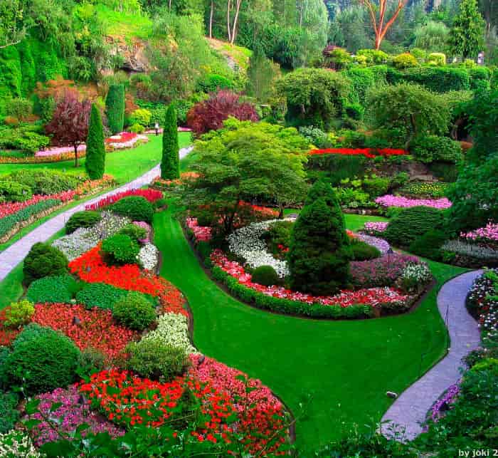 servico-de-jardinagem
